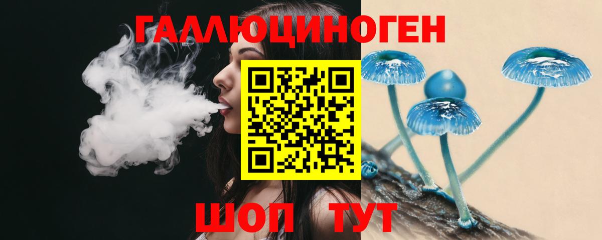 дарнет шоп  Галлюциногенные грибы Magic Shrooms  Вход с VPN  Елабуга 